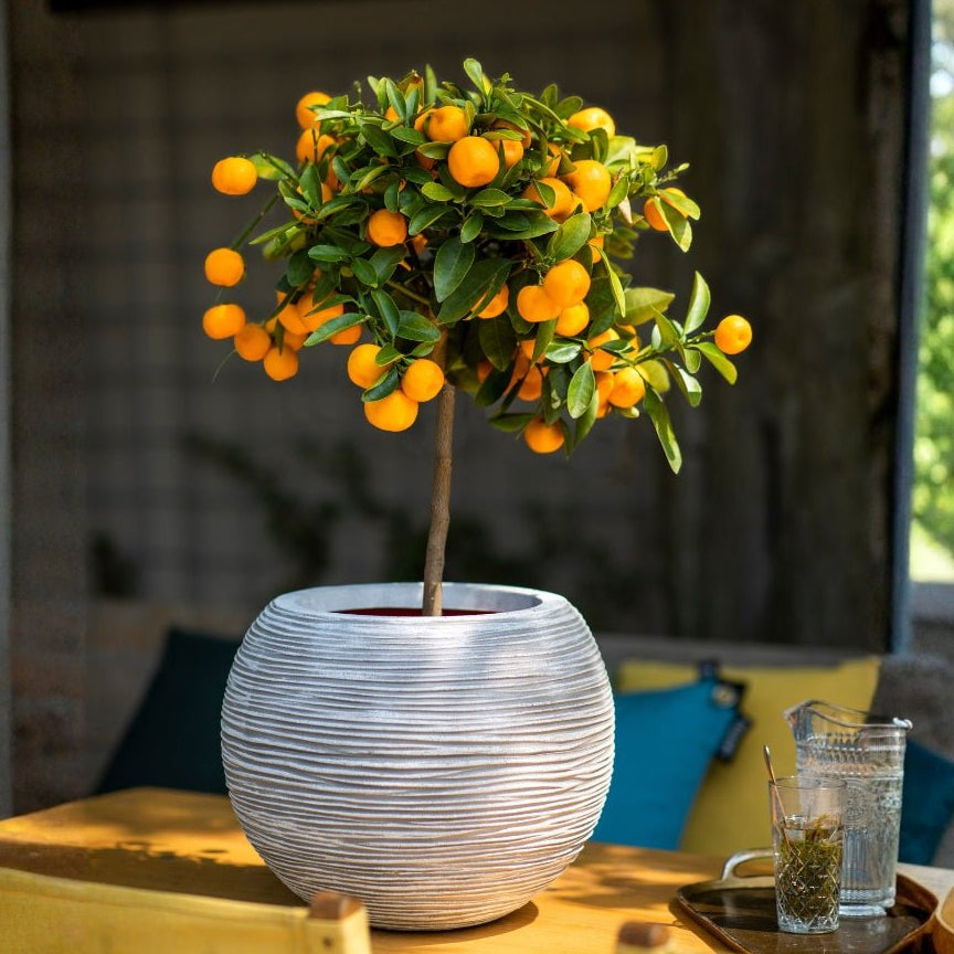 Vase Ball Rib NL - Bostan Al Jazeera