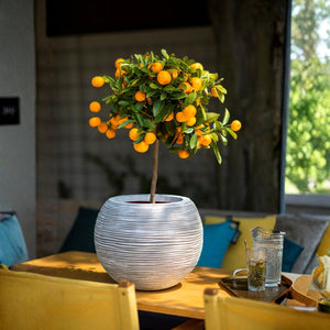 Vase Ball Rib NL - Bostan Al Jazeera