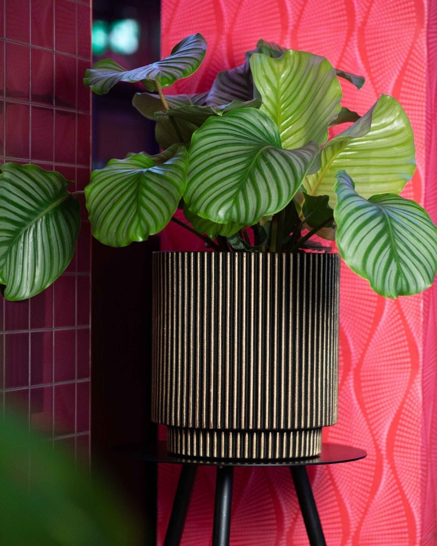 Vase Cylinder Groove NL - Bostan Al Jazeera