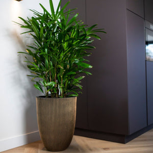 Vase Elegant Low Groove NL - Bostan Al Jazeera