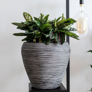 Vase Taper Round Rib NL - Bostan Al Jazeera