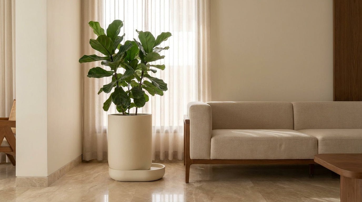 Self-Watering Planters: Are They Worth It in Riyadh? - Bostan