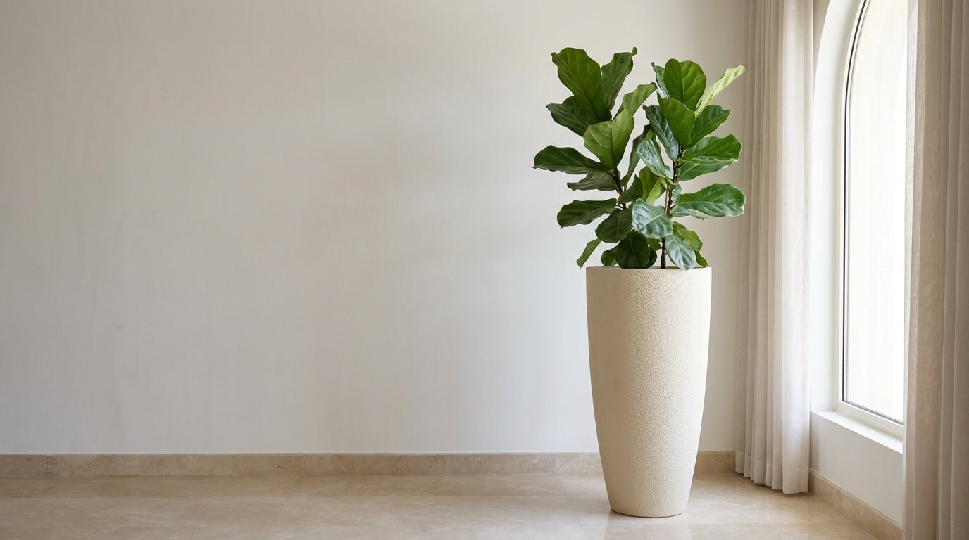The Art of Pairing: Plants & Premium Planters from Capi Europe and Luca Lifestyle - Bostan