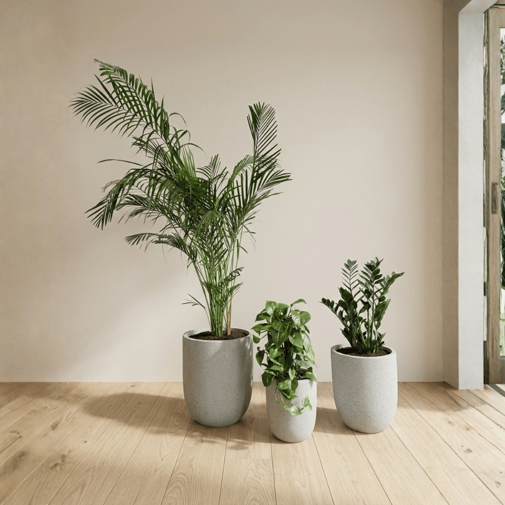 1 Bedroom Set - Bostan Al Jazeera