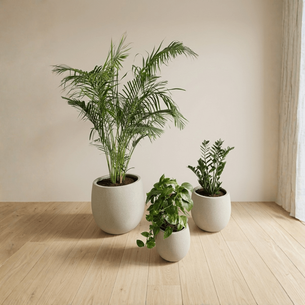 1 Bedroom Set - Bostan Al Jazeera