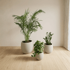 1 Bedroom Set - Bostan Al Jazeera