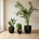 1 Bedroom Set - Bostan Al Jazeera