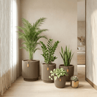 2 Bedroom Set - Bostan Al Jazeera