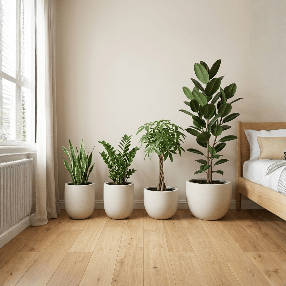 2 Bedroom Set - Bostan Al Jazeera