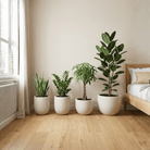 2 Bedroom Set - Bostan Al Jazeera