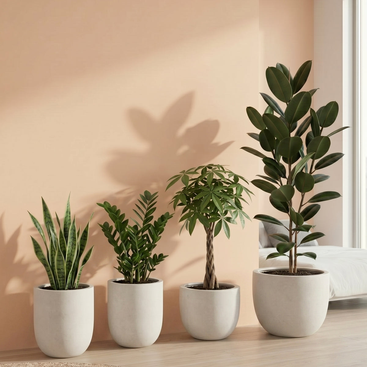 Two Room Set 2 Bedroom Set | Indoor Plant Bundle Riyadh | Bostan