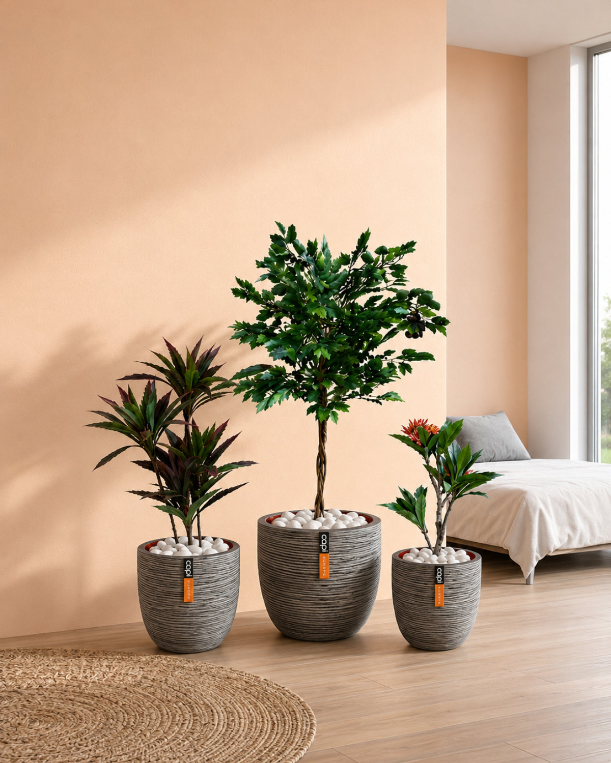 Compact Green Set