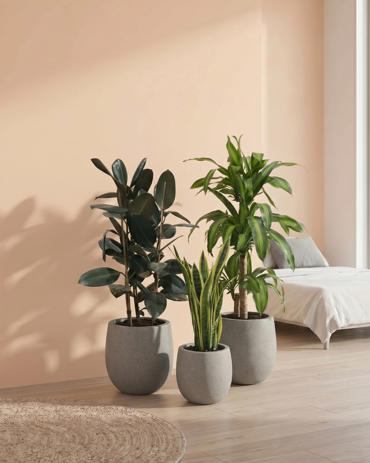 Three potted plants in a room with a bed and light-colored wall