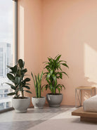 Three potted plants on a windowsill with a peach-colored wall and cityscape view.