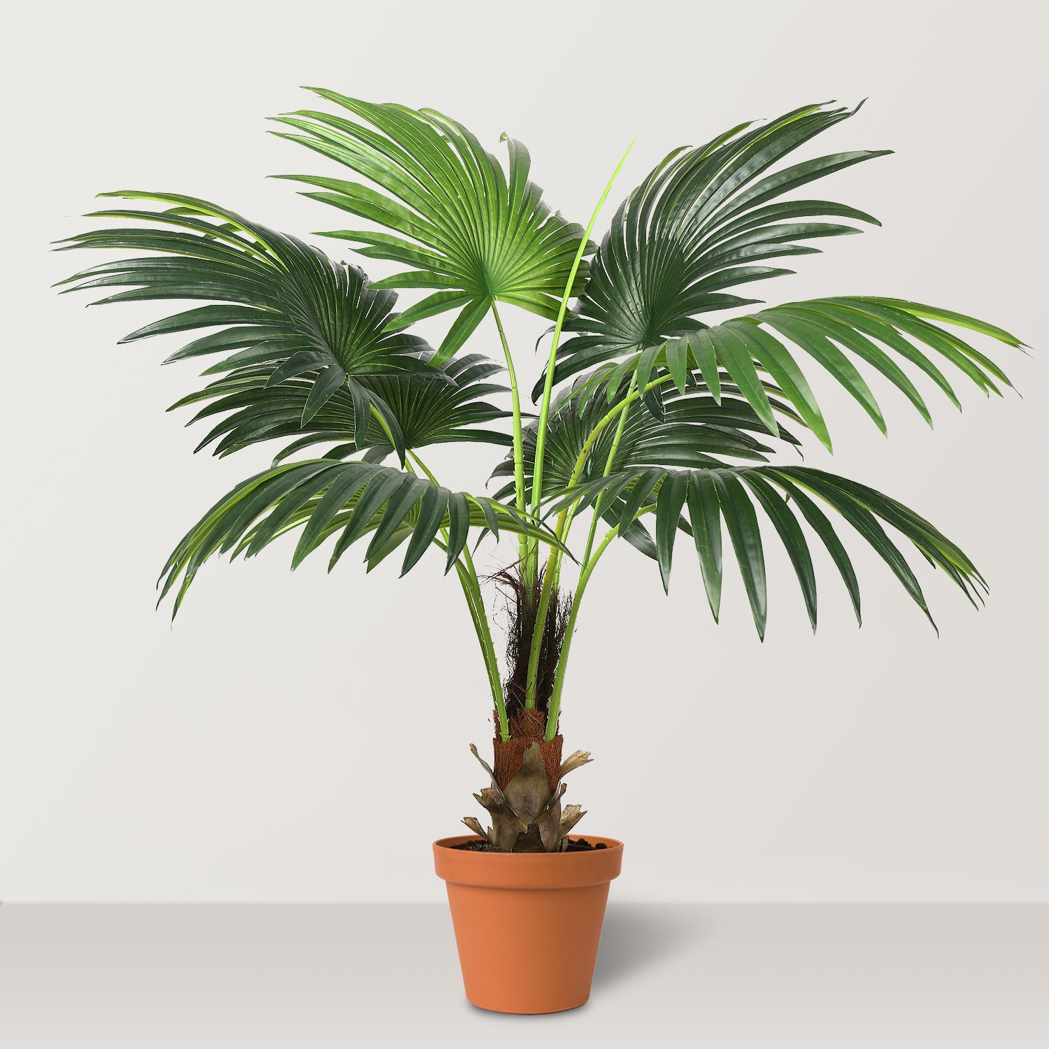 Artificial Fan Palm Tree 8 leaves