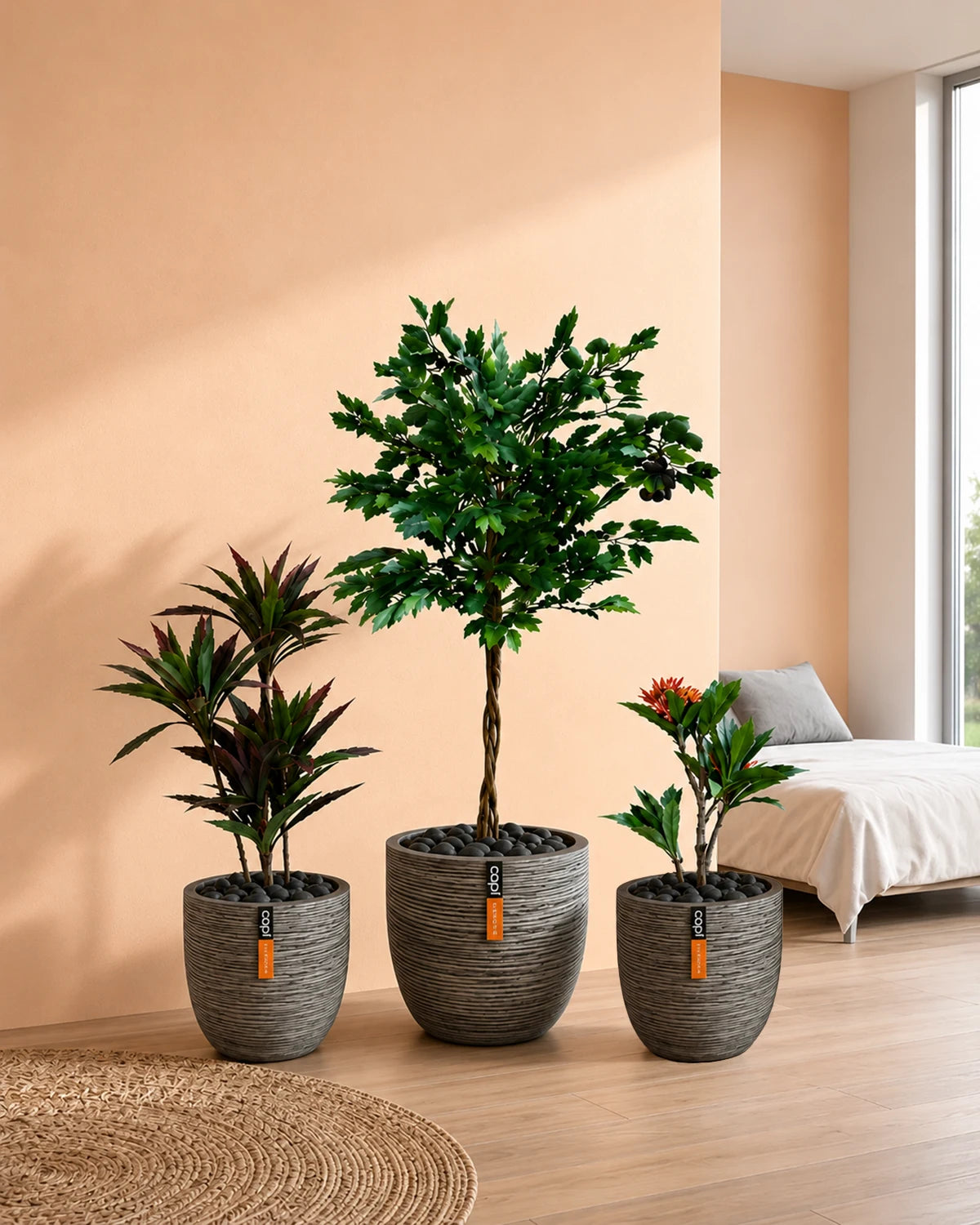 Compact Green Set