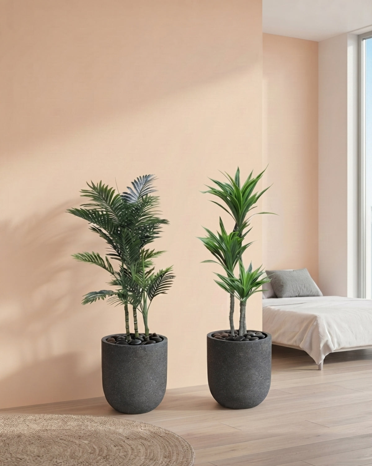 Living Room Set