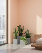 Modern interior with plants in gray pots by a large window with a cityscape view.