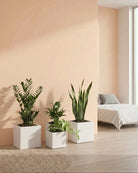 Three potted plants in a room with a bed and pink wall