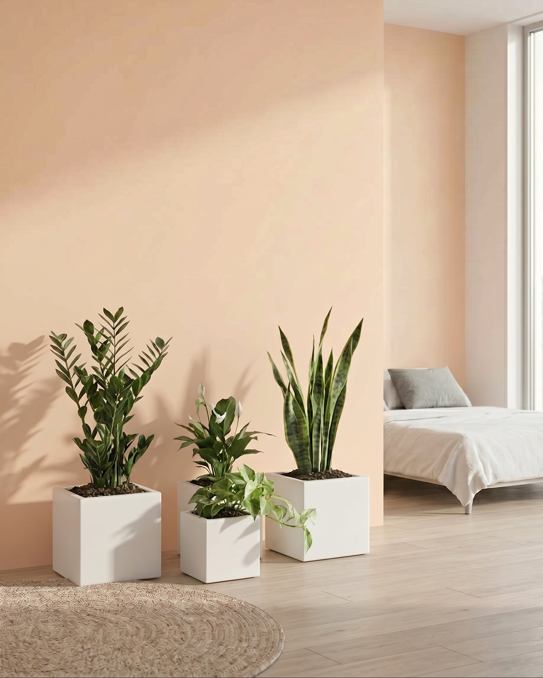 Three potted plants in a room with a bed and pink wall