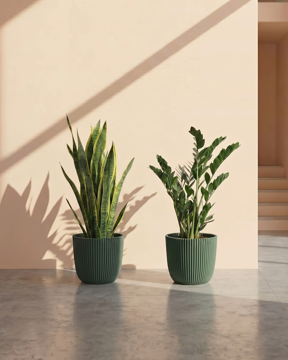 Two potted plants on a reflective surface with a neutral background