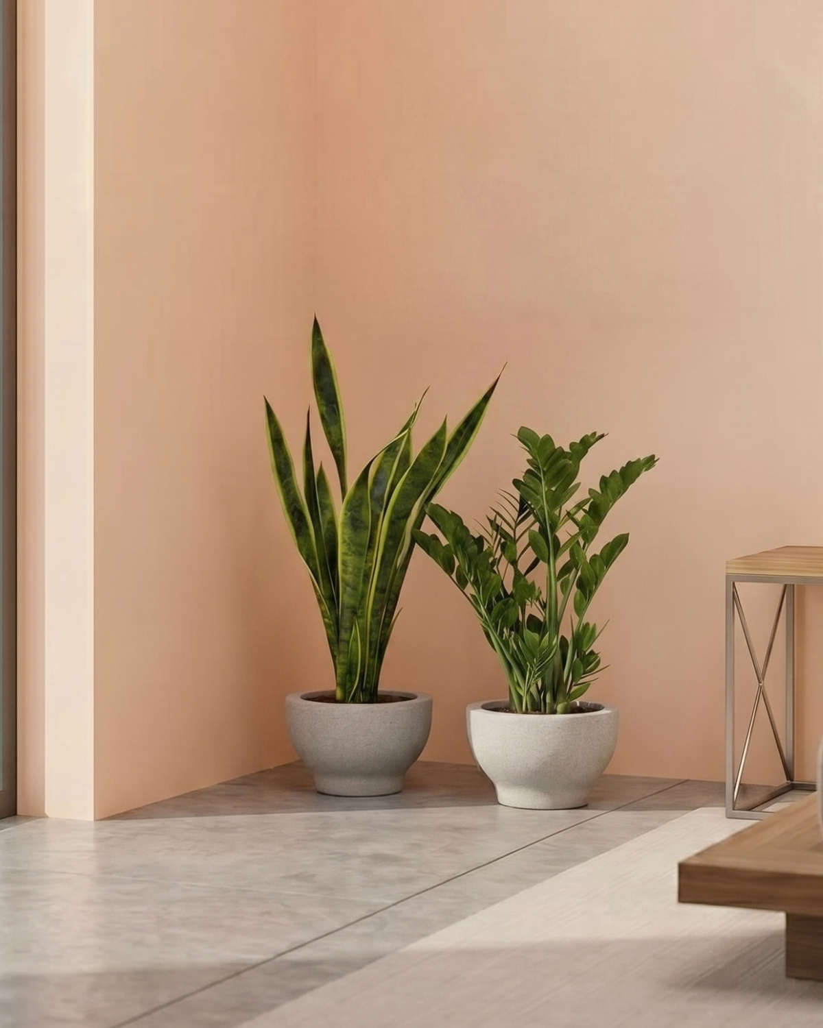 Two potted plants on a floor against a peach-colored wall with a wooden shelf.