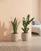 Two potted plants on a wooden floor with a beige wall and sofa in the background