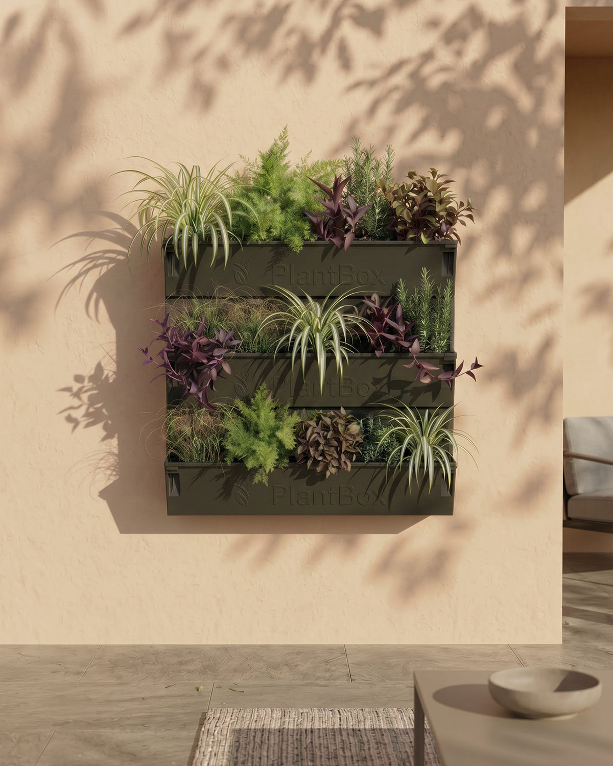 Plant Box