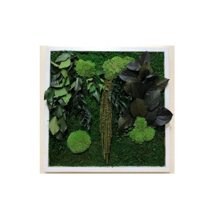Preserved Greenery with frame