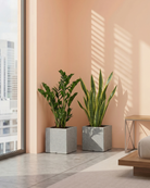 Two potted plants in front of a window with a peach-colored wall.
