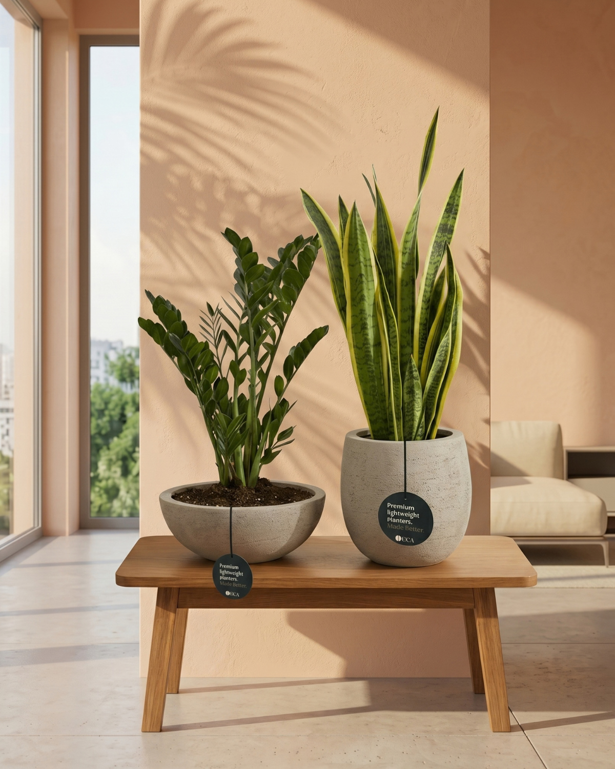 Two potted plants on a wooden table with a neutral background