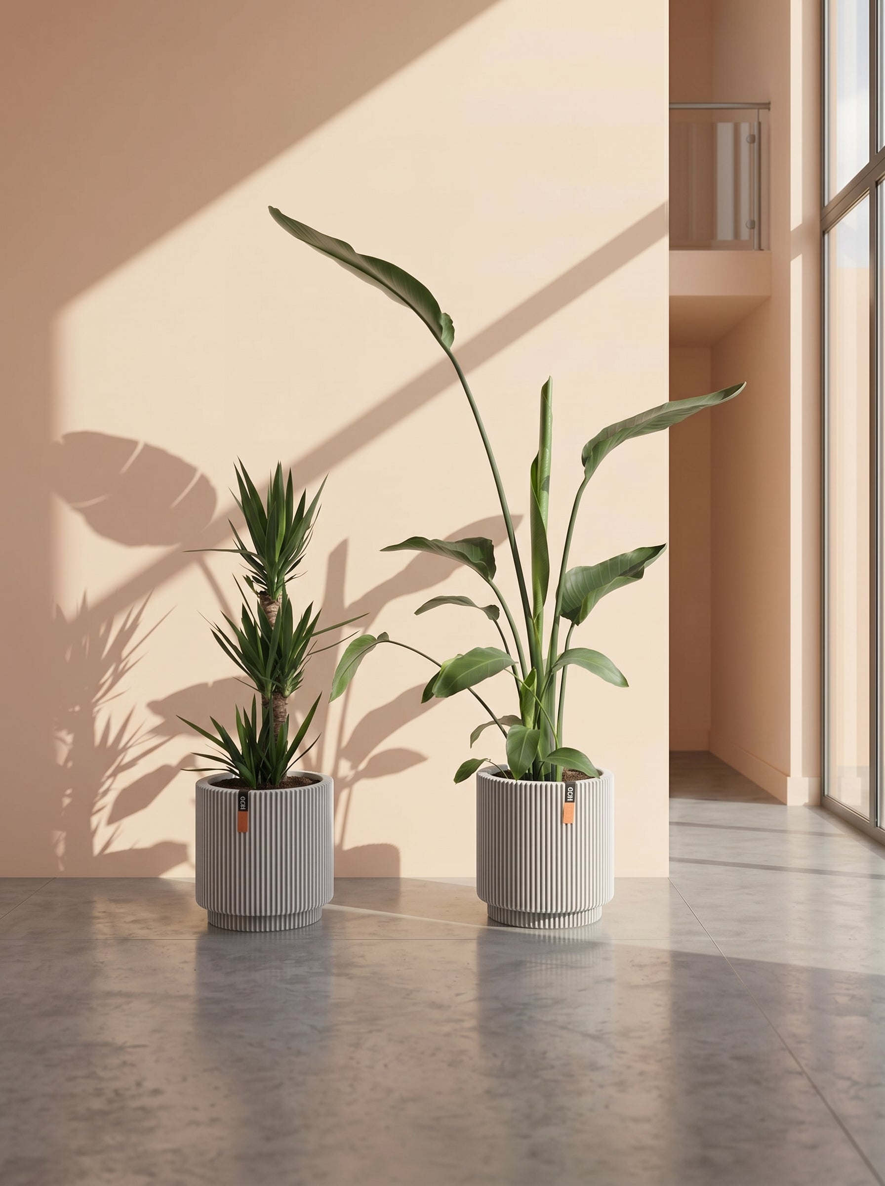 Two potted plants in a room with a neutral color palette