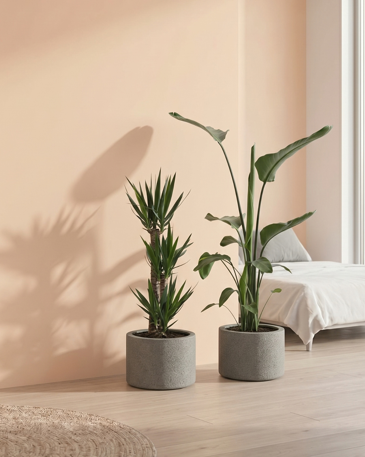 Two potted plants on a wooden floor with a soft pink wall in the background.