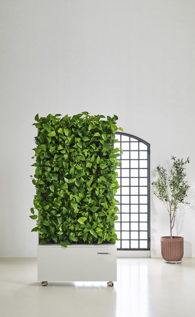 Free standing & Mobile Green Wall