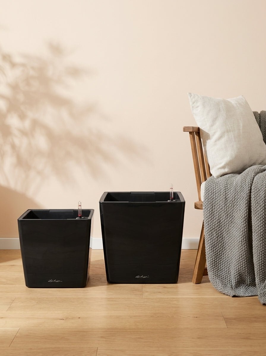 Aqua cube Self watering Pots - Bostan