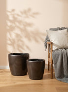 Aqua sphere Self watering Pots - Bostan