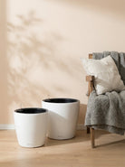 Aqua sphere Self watering Pots - Bostan