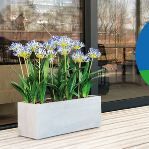 Argento Box - Bostan Al Jazeera