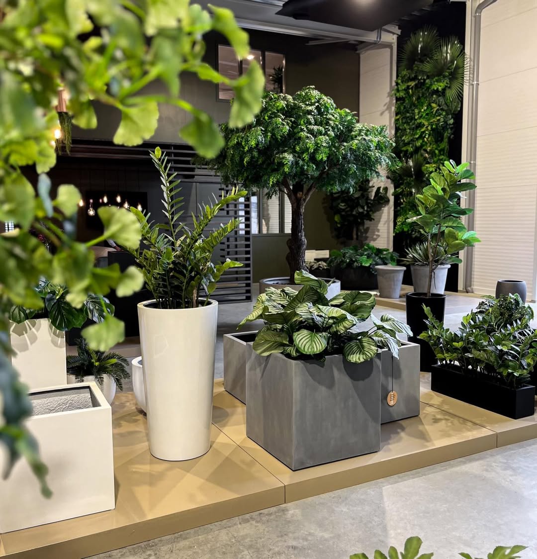 Argento Cube - Bostan Al Jazeera