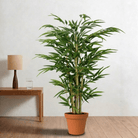 Artificial Bamboo - Bostan