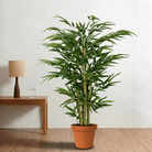 Artificial Bamboo - Bostan