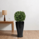 Artificial Box Wood Ball in VASO Pot - Bostan