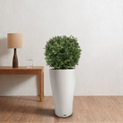 Artificial Box Wood Ball in VASO Pot - Bostan