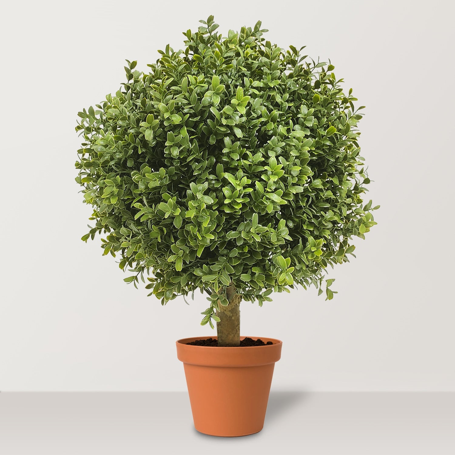 Artificial Boxwood Ball UV - Bostan Al Jazeera
