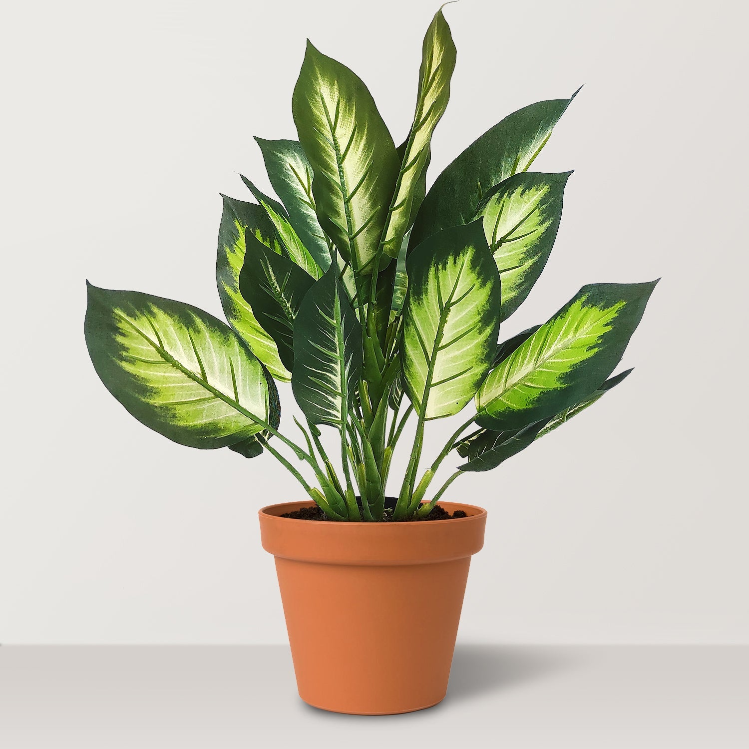 Artificial Dieffenbachia maculata - Bostan Al Jazeera