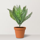 Artificial fern - Bostan Al Jazeera