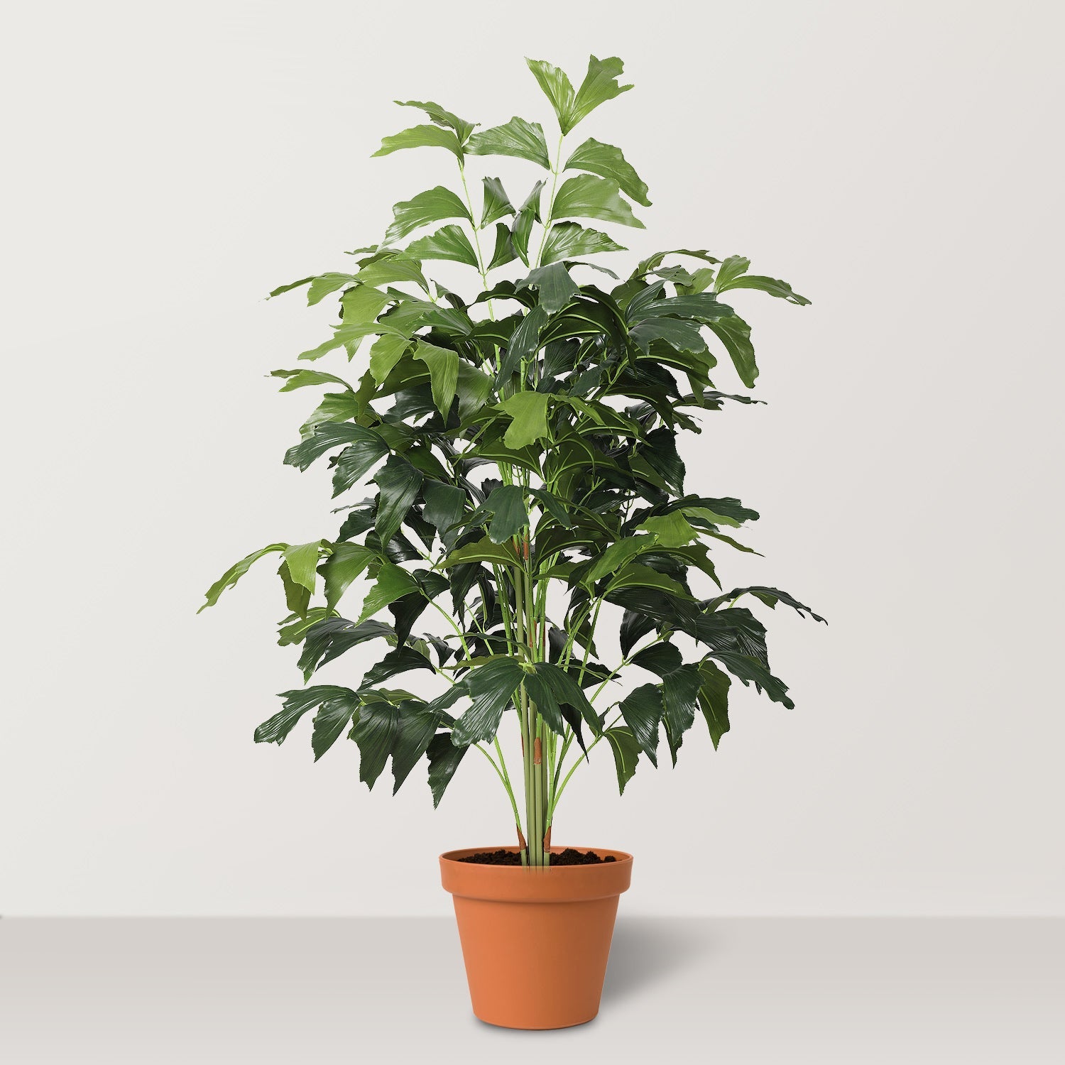 Artificial Fish Tail Palm Tree 231 leaves - Bostan Al Jazeera