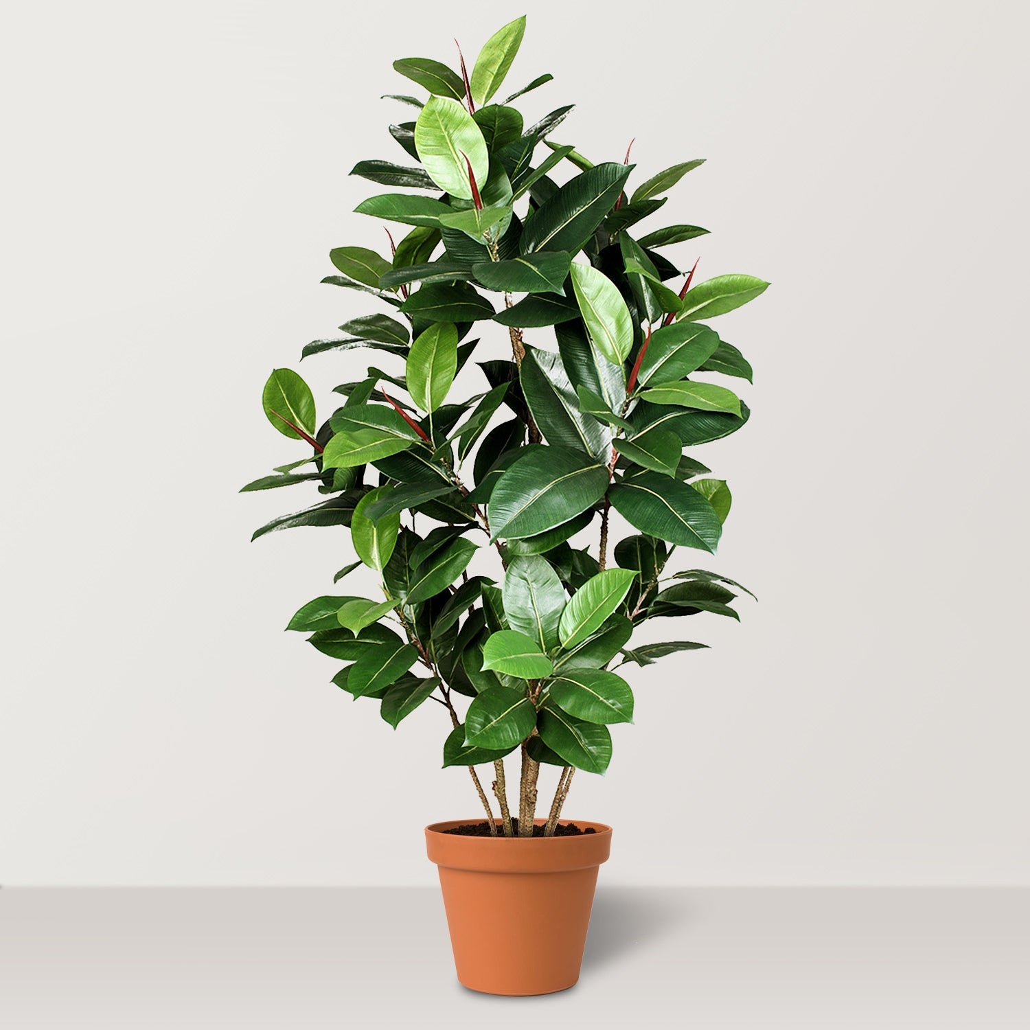 Artificial Green Oak Tree - Bostan Al Jazeera