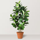 Artificial Green Oak Tree - Bostan Al Jazeera