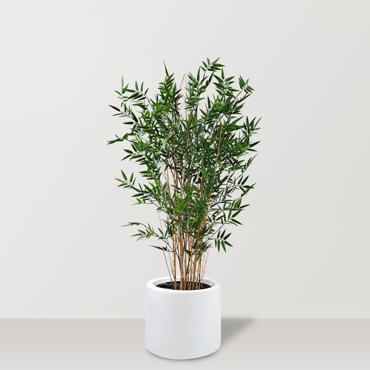 Artificial Japanease Bamboo In GRP Pot - Bostan Al Jazeera